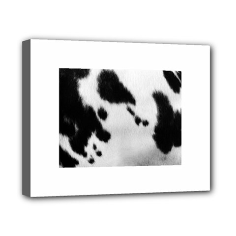 Cow Print	Canvas 10  x 8  (Stretched) from ArtsNow.com
