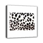 Snow Leopard	Mini Canvas 6  x 6  (Stretched)