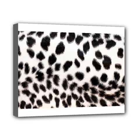 Snow Leopard	Canvas 10  x 8  (Stretched) from ArtsNow.com