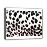 Snow Leopard	Canvas 10  x 8  (Stretched)