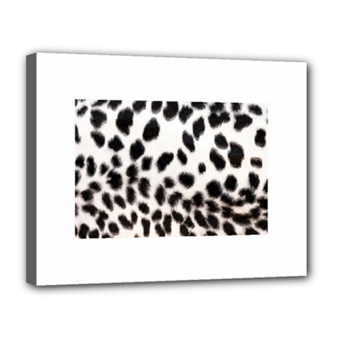 Snow Leopard	Canvas 14  x 11  (Stretched) from ArtsNow.com