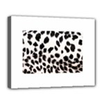 Snow Leopard	Canvas 14  x 11  (Stretched)