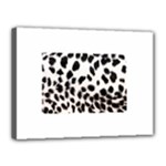 Snow Leopard	Canvas 16  x 12  (Stretched)