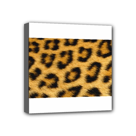 Leopard Print	 Mini Canvas 4  x 4  (Stretched) from ArtsNow.com