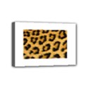 Mini Canvas 6  x 4  (Stretched) 