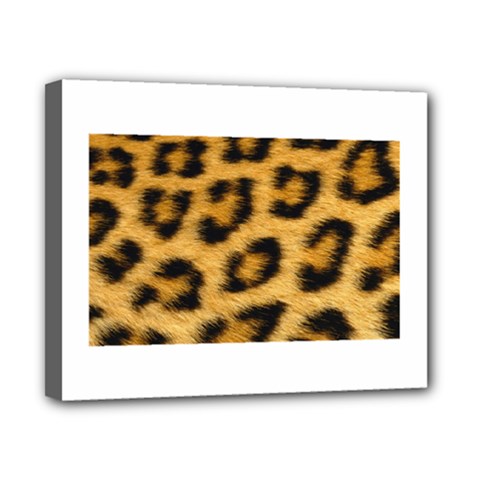 Leopard Print	Canvas 10  x 8  (Stretched) from ArtsNow.com
