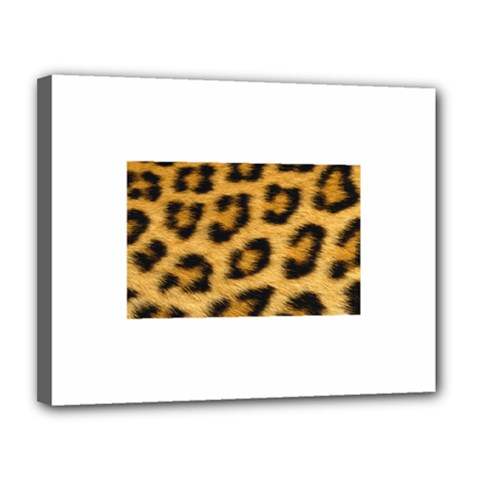 Leopard Print	Canvas 14  x 11  (Stretched) from ArtsNow.com