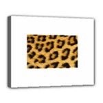 Leopard Print	Canvas 14  x 11  (Stretched)