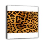 Jaguar Print	Mini Canvas 6  x 6  (Stretched)