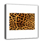 Jaguar Print	Mini Canvas 8  x 8  (Stretched)