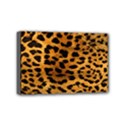 Mini Canvas 6  x 4  (Stretched) 