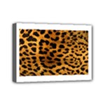 Jaguar Print	Mini Canvas 7  x 5  (Stretched)