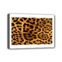 Mini Canvas 7  x 5  (Stretched) 