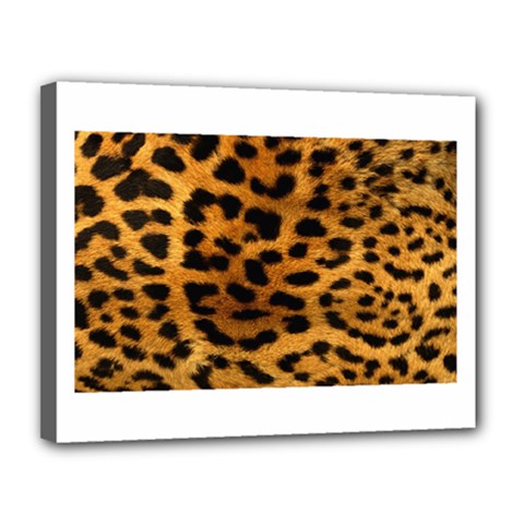 Jaguar Print	Canvas 14  x 11  (Stretched) from ArtsNow.com