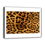 Jaguar Print	Canvas 14  x 11  (Stretched)