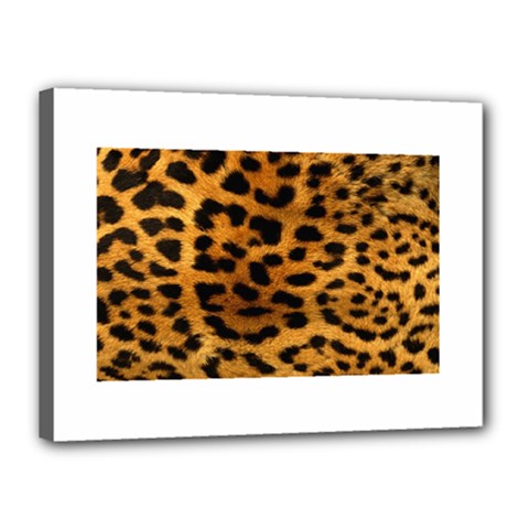 Jaguar Print	Canvas 16  x 12  (Stretched) from ArtsNow.com