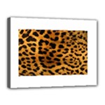 Jaguar Print	Canvas 16  x 12  (Stretched)