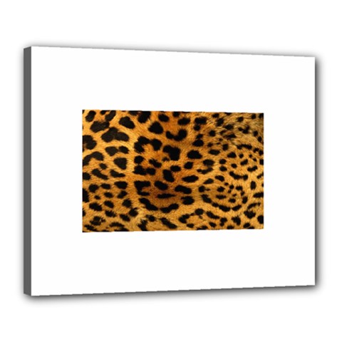Jaguar Print	Canvas 20  x 16  (Stretched) from ArtsNow.com