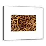 Jaguar Print	Canvas 20  x 16  (Stretched)