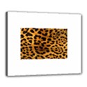 Canvas 20  x 16  (Stretched) 