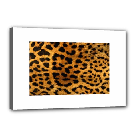 Jaguar Print	Canvas 18  x 12  (Stretched) from ArtsNow.com