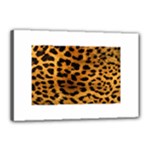 Jaguar Print	Canvas 18  x 12  (Stretched)