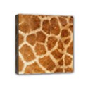 Mini Canvas 4  x 4  (Stretched) 