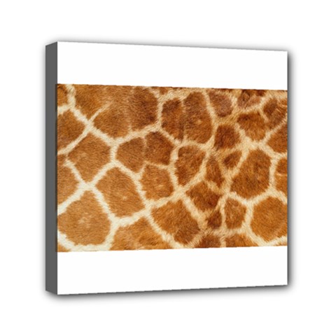 Giraffe Print	Mini Canvas 6  x 6  (Stretched) from ArtsNow.com
