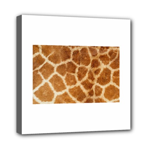 Giraffe Print	Mini Canvas 8  x 8  (Stretched) from ArtsNow.com