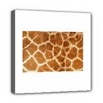 Giraffe Print	Mini Canvas 8  x 8  (Stretched)