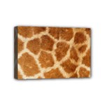 Giraffe Print	Mini Canvas 6  x 4  (Stretched)