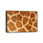 Giraffe Print	Mini Canvas 6  x 4  (Stretched)