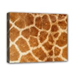 Giraffe Print	Canvas 10  x 8  (Stretched)