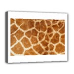 Giraffe Print	Canvas 14  x 11  (Stretched)