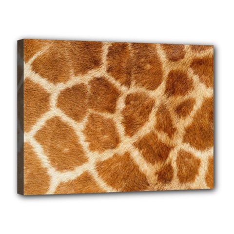 Giraffe Print	Canvas 16  x 12  (Stretched) from ArtsNow.com