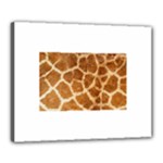 Giraffe Print	Canvas 20  x 16  (Stretched)