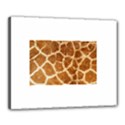 Canvas 20  x 16  (Stretched) 