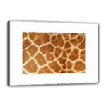 Giraffe Print	Canvas 18  x 12  (Stretched)