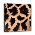 Mini Canvas 8  x 8  (Stretched) 