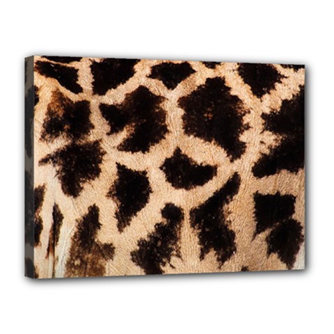 Giraffe Print Dark	Canvas 16  x 12  (Stretched) from ArtsNow.com