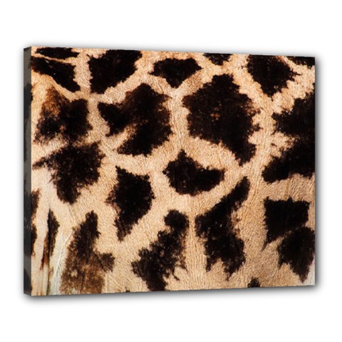 Giraffe Print Dark	Canvas 20  x 16  (Stretched) from ArtsNow.com