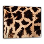 Giraffe Print Dark	Canvas 20  x 16  (Stretched)