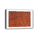 Mini Canvas 6  x 4  (Stretched) 