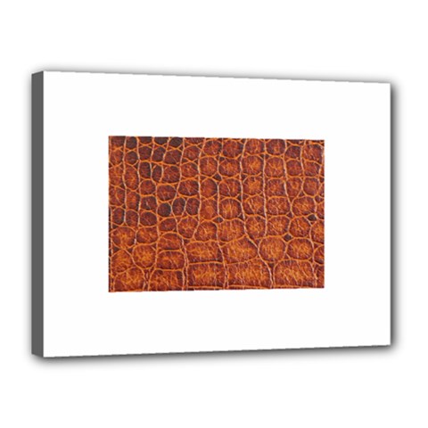 Crocodile Print	Canvas 16  x 12  (Stretched) from ArtsNow.com
