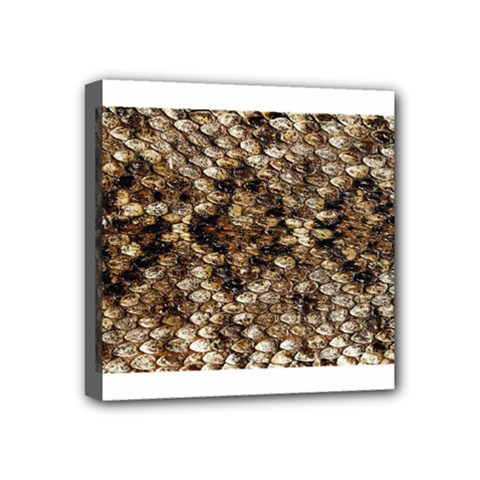 Snake Print	 Mini Canvas 4  x 4  (Stretched) from ArtsNow.com