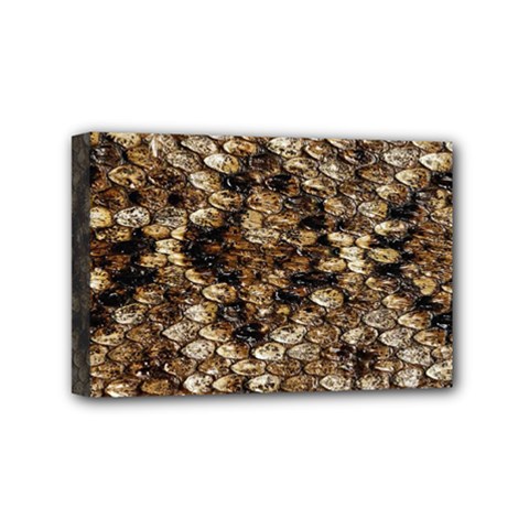 Snake Print	Mini Canvas 6  x 4  (Stretched) from ArtsNow.com