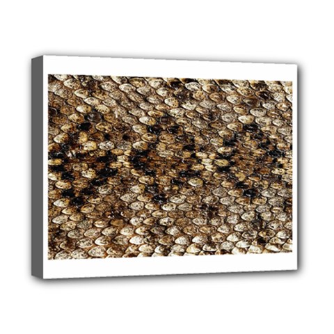 Snake Print	Canvas 10  x 8  (Stretched) from ArtsNow.com