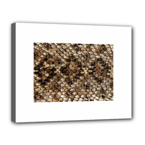 Snake Print	Canvas 14  x 11  (Stretched) from ArtsNow.com