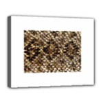 Snake Print	Canvas 14  x 11  (Stretched)