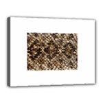 Snake Print	Canvas 16  x 12  (Stretched)